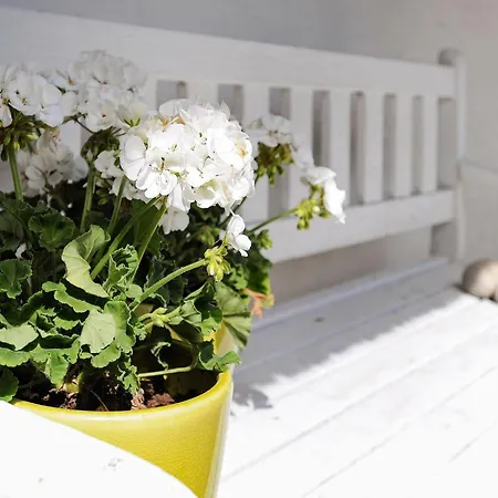 Feriehus Seaside Charm In Baring - By Traum Asperup