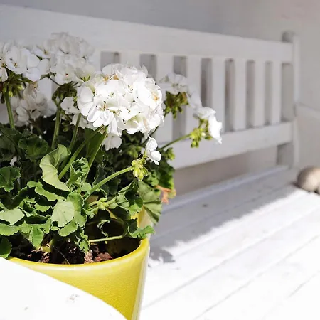 Seaside Charm In Baring - By Traum Tatil Evi Asperup